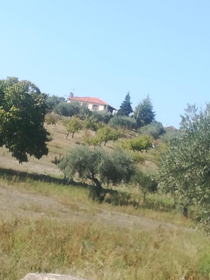 Casa Das Argolas Macedo de Cavaleiros Exteriör bild